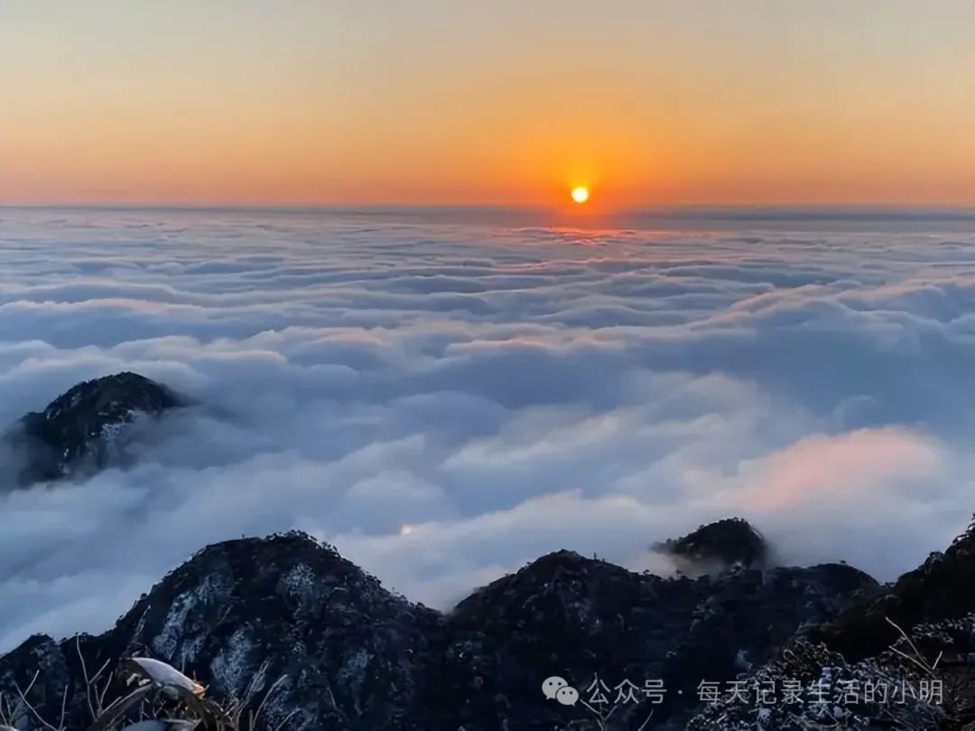 三清三旅游攻_三清山旅游攻略自驾游二日游_三清山2日游旅游攻略