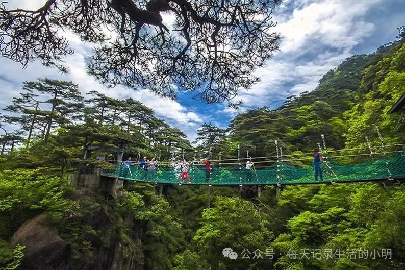 三清三旅游攻_三清山2日游旅游攻略_三清山旅游攻略自驾游二日游