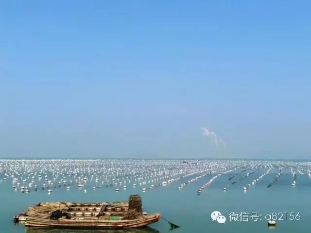 增城白水寨2天旅游攻略_攻略增城旅游水寨白天可以去吗_广州增城水寨