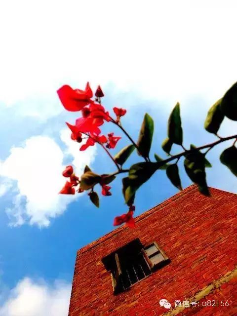 广州增城水寨_攻略增城旅游水寨白天可以去吗_增城白水寨2天旅游攻略