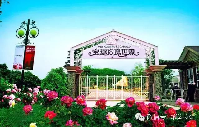 增城白水寨2天旅游攻略_攻略增城旅游水寨白天可以去吗_广州增城水寨