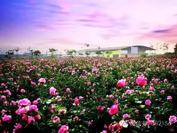 广州增城水寨_增城白水寨2天旅游攻略_攻略增城旅游水寨白天可以去吗