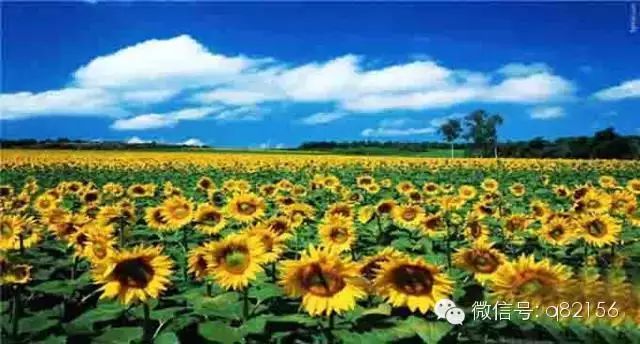 增城白水寨2天旅游攻略_广州增城水寨_攻略增城旅游水寨白天可以去吗