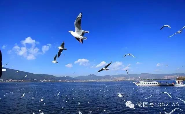 广州增城水寨_攻略增城旅游水寨白天可以去吗_增城白水寨2天旅游攻略