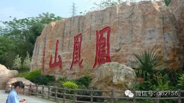 广州增城水寨_攻略增城旅游水寨白天可以去吗_增城白水寨2天旅游攻略