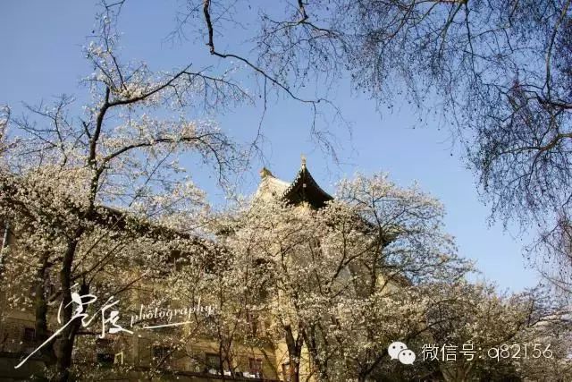 攻略增城旅游水寨白天可以去吗_广州增城水寨_增城白水寨2天旅游攻略