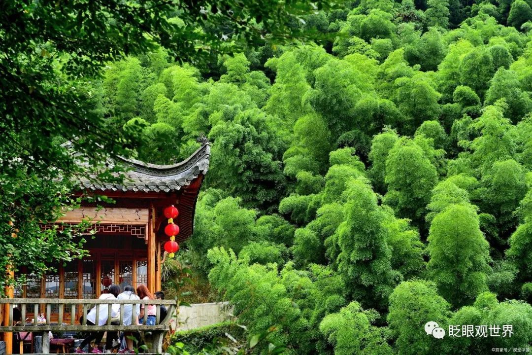 德清莫干山门票价格_德清莫干山风景区攻略_德清莫干山旅游攻略