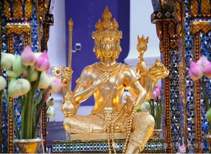 泰国珊瑚岛好玩吗_珊瑚海泰国_泰国珊瑚岛旅游攻略