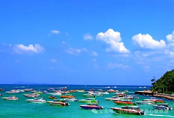 珊瑚海泰国_泰国珊瑚岛好玩吗_泰国珊瑚岛旅游攻略