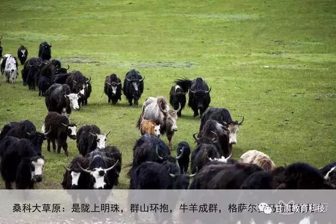 兰州到甘南旅游线路3日_兰州到甘南旅游攻略_兰州到甘南沿途风景点