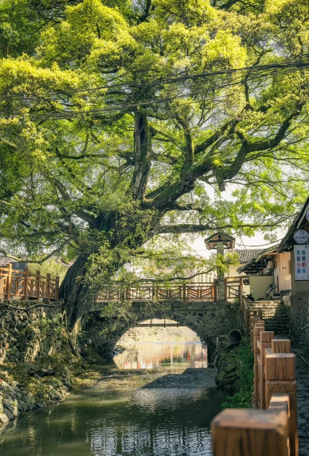 厦门至湄洲岛旅游攻略_厦门到湄洲岛开车多久_厦门到湄洲岛旅游攻略
