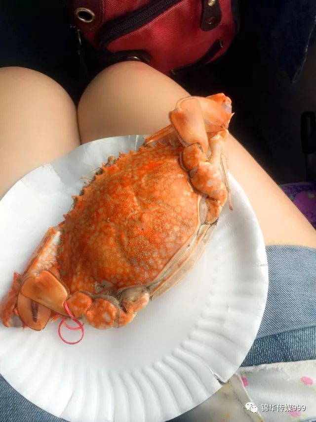 泰国珊瑚岛攻略旅游路线_珊瑚海泰国_泰国珊瑚岛旅游攻略