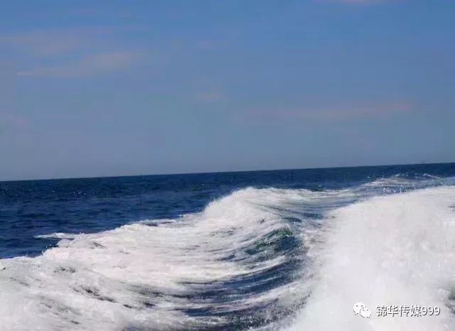 泰国珊瑚岛旅游攻略_泰国珊瑚岛攻略旅游路线_珊瑚海泰国