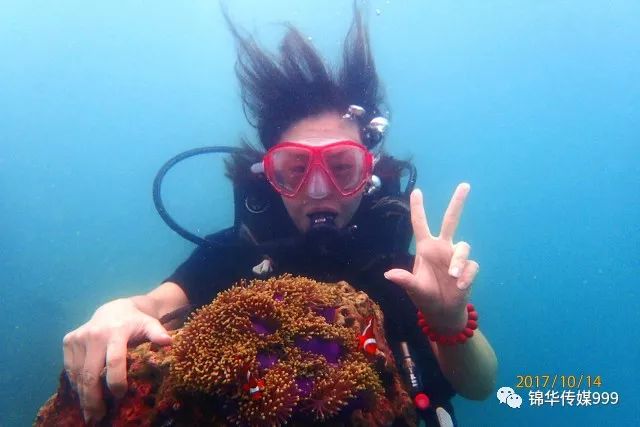 珊瑚海泰国_泰国珊瑚岛旅游攻略_泰国珊瑚岛攻略旅游路线