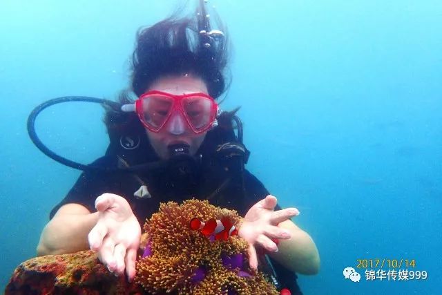 泰国珊瑚岛攻略旅游路线_泰国珊瑚岛旅游攻略_珊瑚海泰国