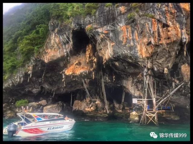 泰国珊瑚岛攻略旅游路线_珊瑚海泰国_泰国珊瑚岛旅游攻略