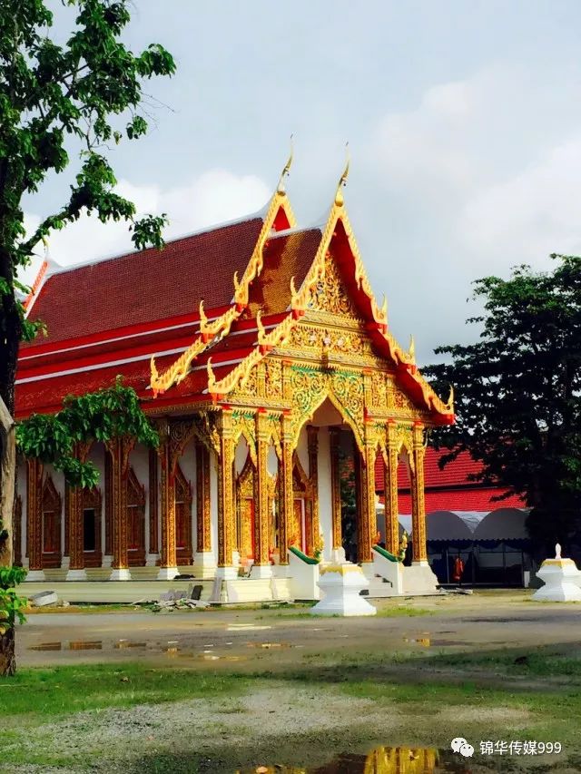 泰国珊瑚岛旅游攻略_泰国珊瑚岛攻略旅游路线_珊瑚海泰国