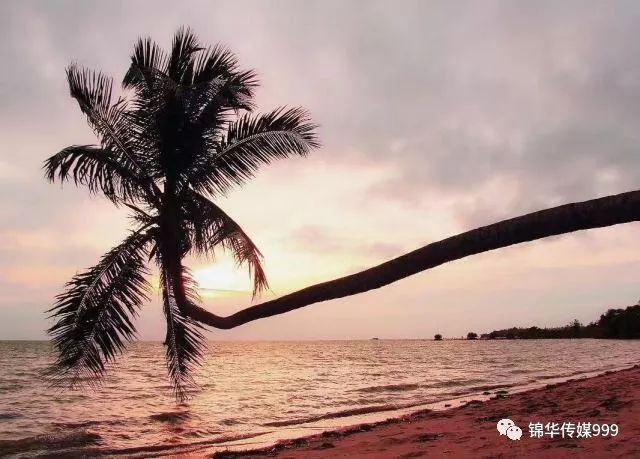 珊瑚海泰国_泰国珊瑚岛攻略旅游路线_泰国珊瑚岛旅游攻略