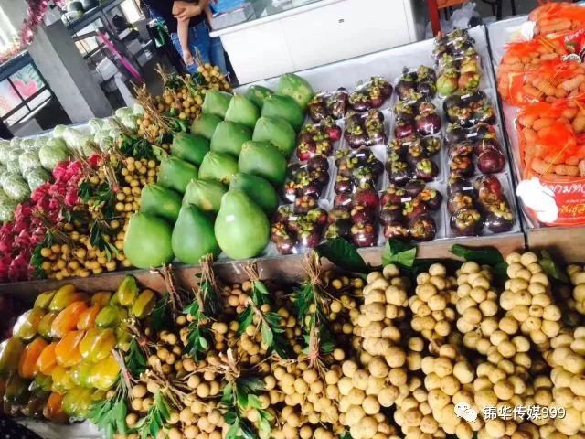 珊瑚海泰国_泰国珊瑚岛旅游攻略_泰国珊瑚岛攻略旅游路线