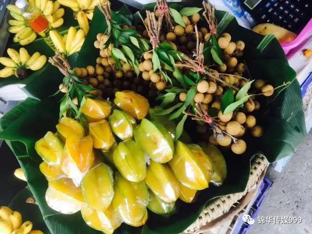 珊瑚海泰国_泰国珊瑚岛攻略旅游路线_泰国珊瑚岛旅游攻略