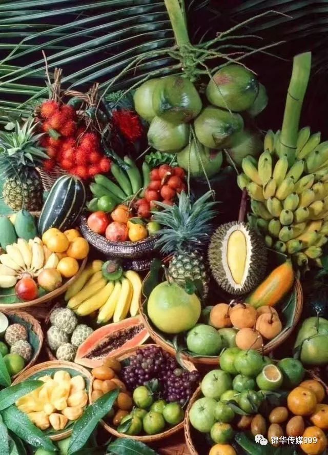 泰国珊瑚岛旅游攻略_泰国珊瑚岛攻略旅游路线_珊瑚海泰国