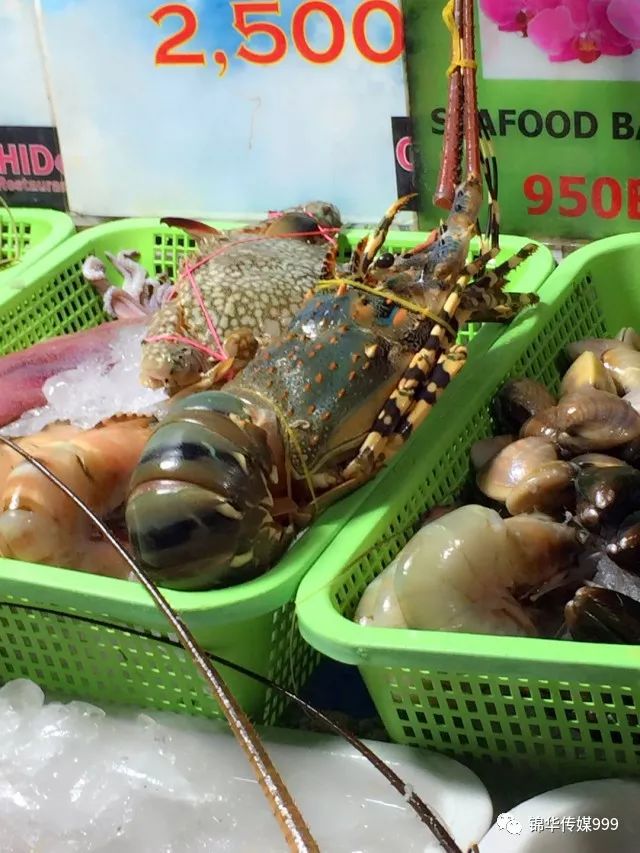 珊瑚海泰国_泰国珊瑚岛攻略旅游路线_泰国珊瑚岛旅游攻略