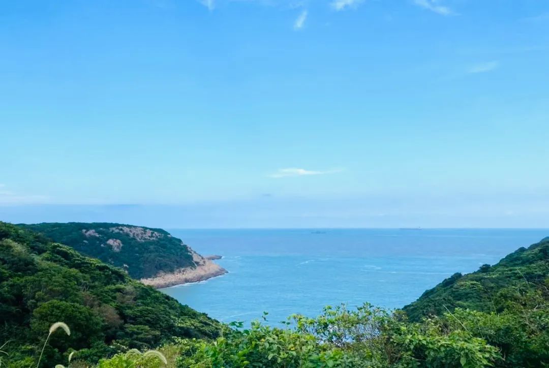 宁波到枸杞岛旅游攻略_宁波去枸杞岛旅游攻略_宁波怎么枸杞岛