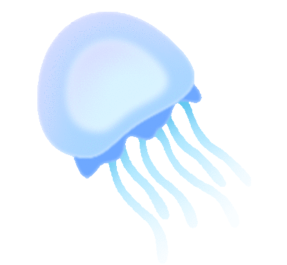 宁波到枸杞岛旅游攻略_宁波怎么枸杞岛_宁波去枸杞岛旅游攻略