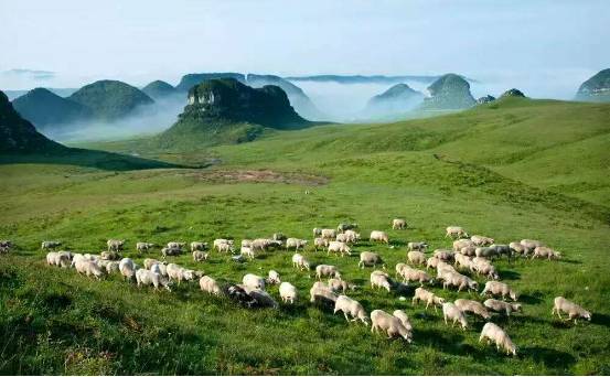 贵阳高铁旅游攻略_贵阳高铁攻略旅游线路_贵阳高铁攻略旅游路线图