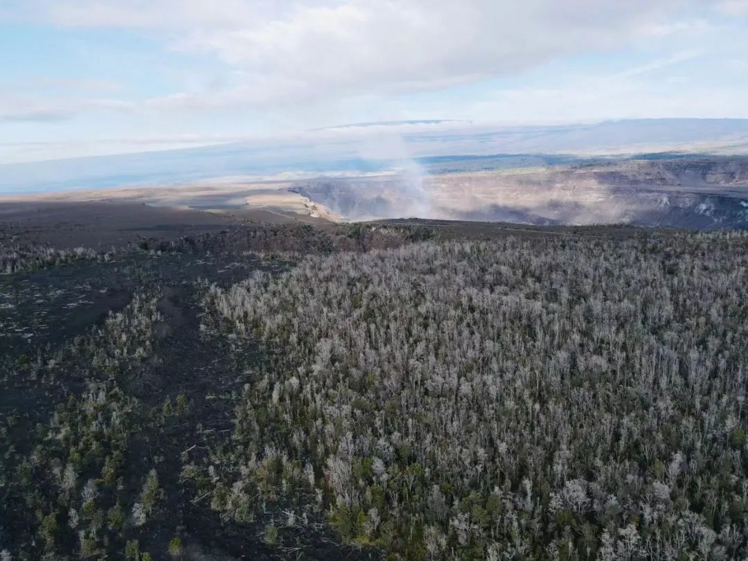 夏威夷大岛一日游_夏威夷大岛旅游攻略_夏威夷大岛五日游