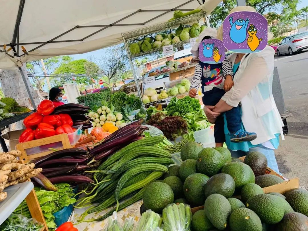 夏威夷大岛五日游_夏威夷大岛一日游_夏威夷大岛旅游攻略