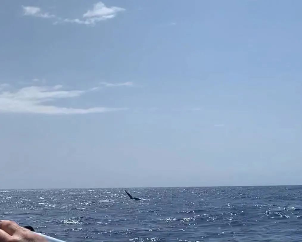 夏威夷大岛五日游_夏威夷大岛旅游攻略_夏威夷大岛一日游