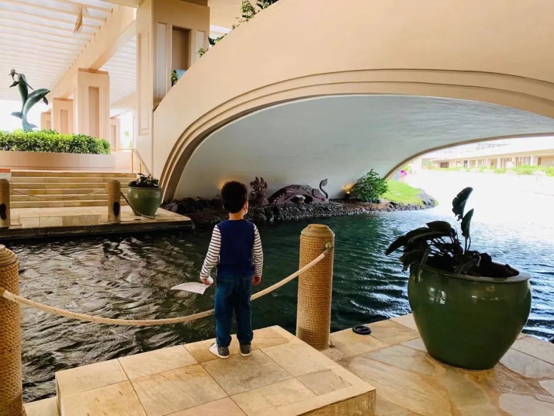 夏威夷大岛五日游_夏威夷大岛旅游攻略_夏威夷大岛一日游