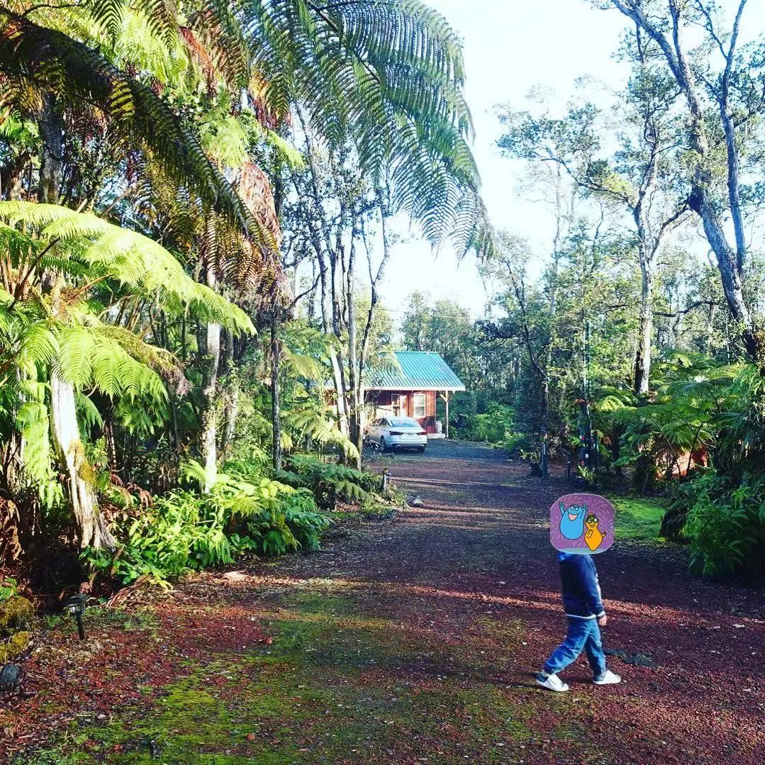 夏威夷大岛旅游攻略_夏威夷大岛五日游_夏威夷大岛一日游