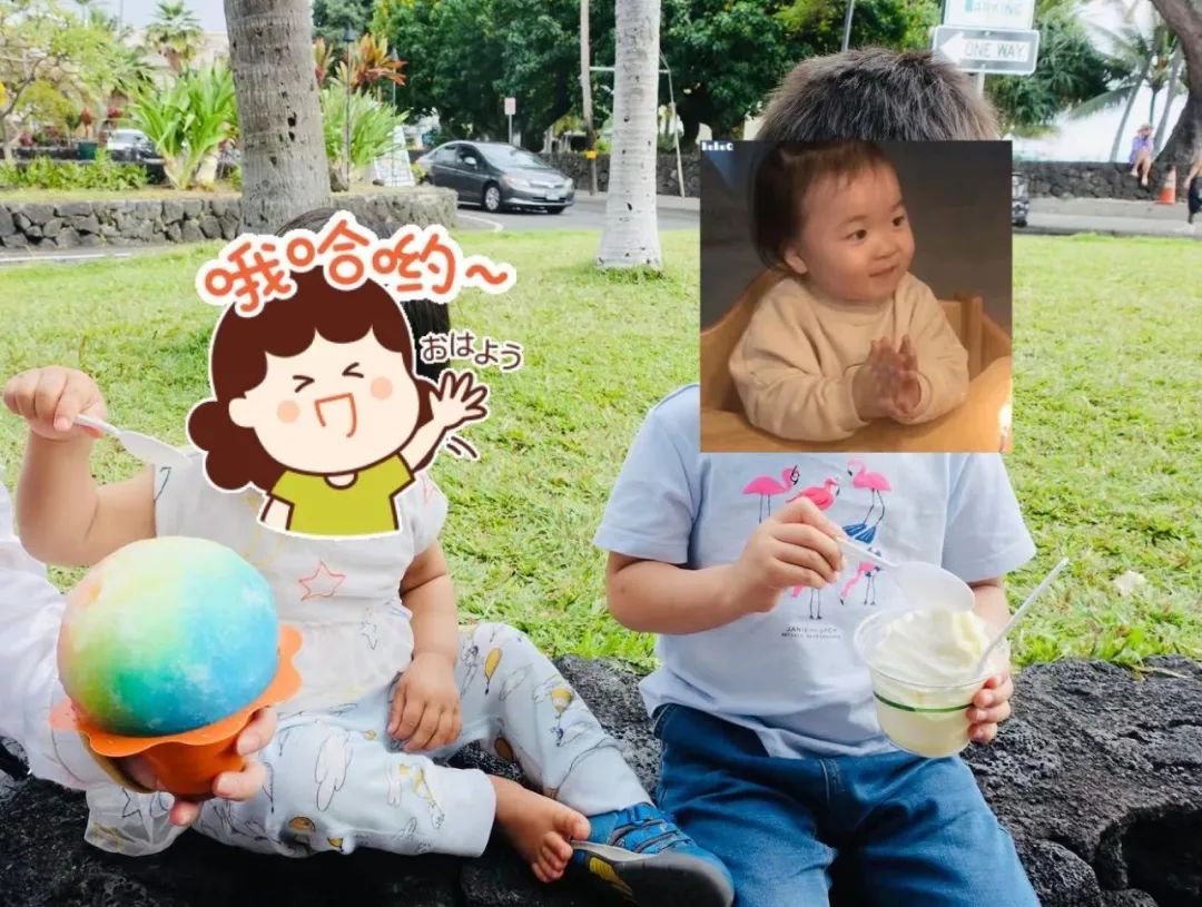 夏威夷大岛一日游_夏威夷大岛旅游攻略_夏威夷大岛五日游