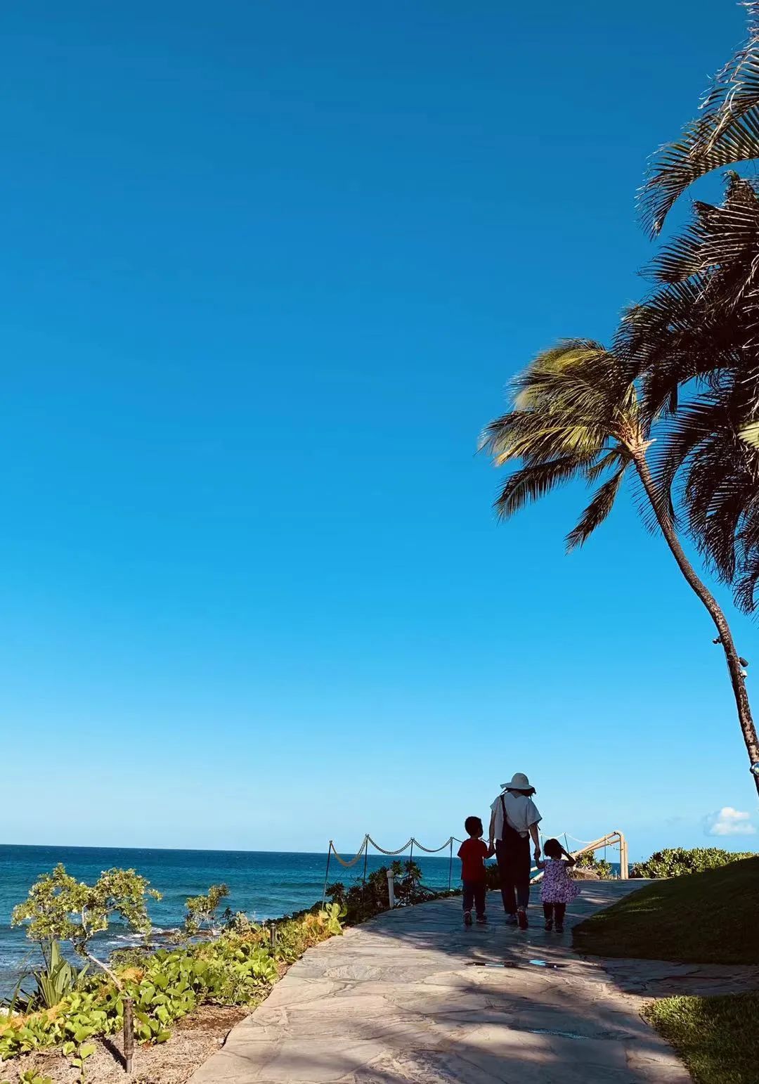 夏威夷大岛一日游_夏威夷大岛五日游_夏威夷大岛旅游攻略