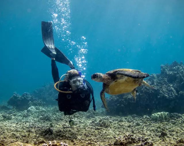 夏威夷大岛旅游攻略-夏威夷大岛一日游(图32) 夏威夷大岛一日游_夏威夷大岛景点_夏威夷大岛旅游攻略