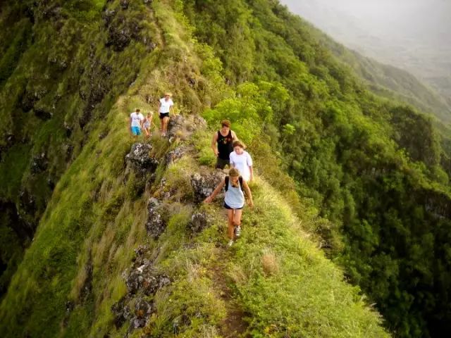 夏威夷大岛旅游攻略-夏威夷大岛一日游(图41) 夏威夷大岛景点_夏威夷大岛一日游_夏威夷大岛旅游攻略
