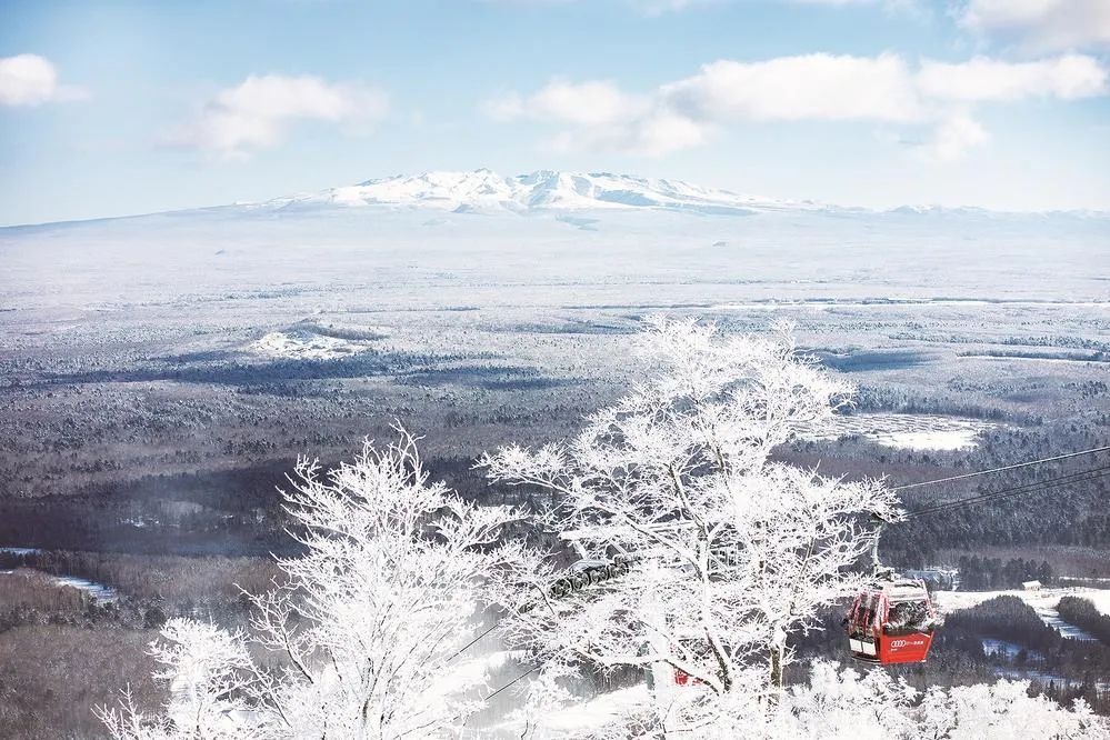 白山旅游攻略-攻略白山旅游的地方(图11) 攻略白山旅游路线_攻略白山旅游的地方_白山旅游攻略
