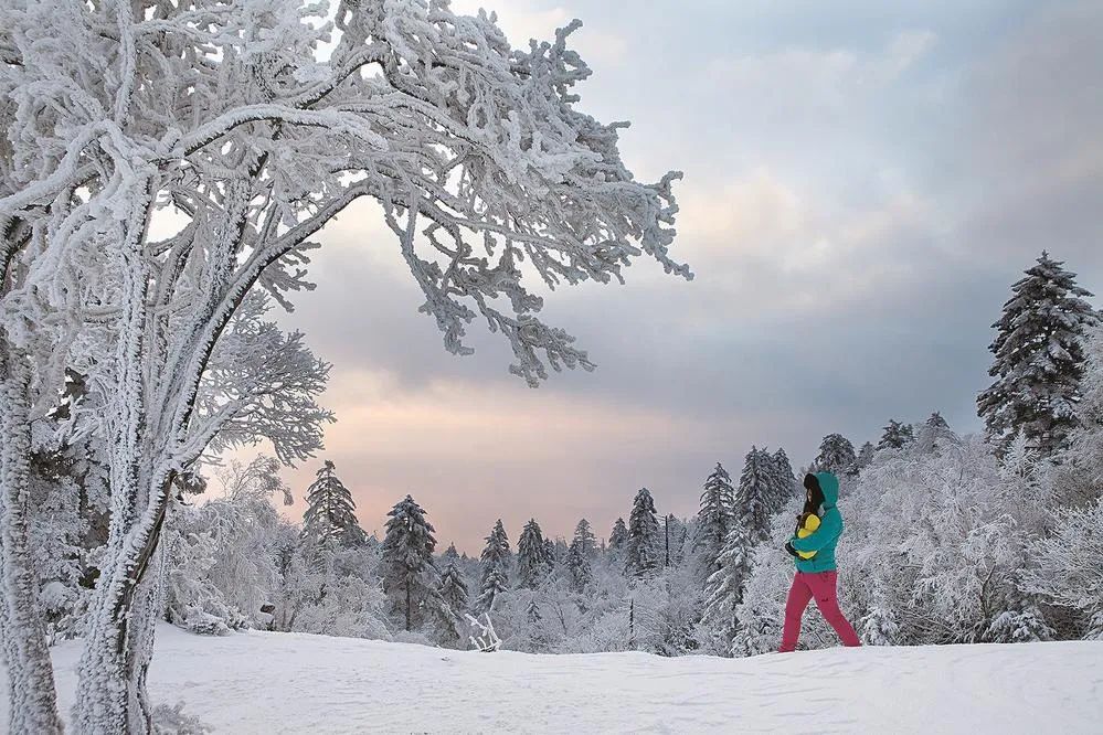 白山旅游攻略-攻略白山旅游的地方(图13) 白山旅游攻略_攻略白山旅游路线_攻略白山旅游的地方