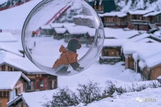 成都到理县旅游攻略-成都到理县沿途旅游景点(图16) 成都到理县沿途旅游景点_成都到理县旅游攻略_成都至理县游玩线路