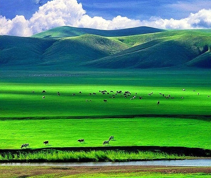 西双版纳超文艺小众旅游攻略_西双版纳旅游度假酒店_西双版纳旅游攻略艺龙