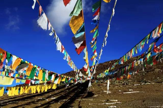 西双版纳旅游攻略艺龙_西双版纳超文艺小众旅游攻略_西双版纳旅游度假酒店