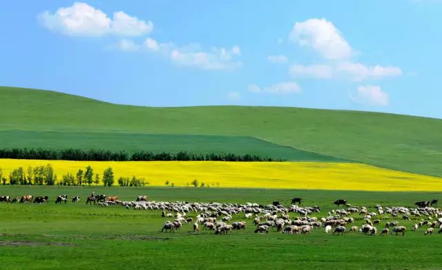 西双版纳旅游攻略艺龙_西双版纳超文艺小众旅游攻略_西双版纳旅游度假酒店