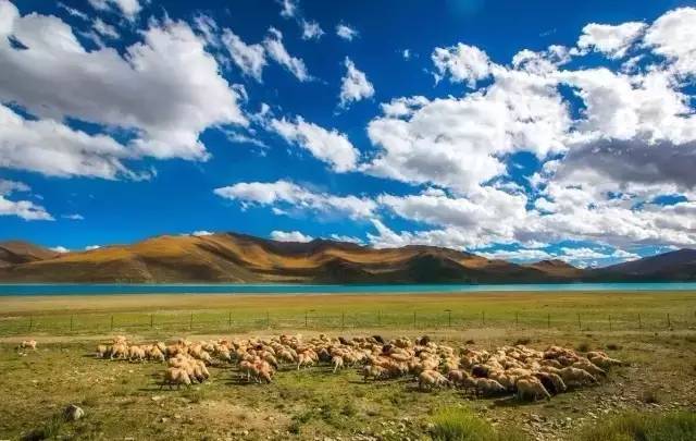 西双版纳旅游度假酒店_西双版纳旅游攻略艺龙_西双版纳超文艺小众旅游攻略