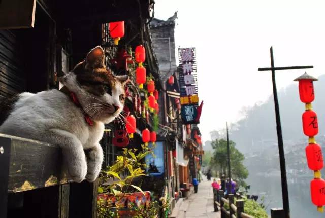 西双版纳旅游度假酒店_西双版纳旅游攻略艺龙_西双版纳超文艺小众旅游攻略