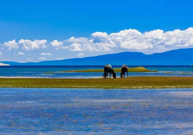 西双版纳旅游攻略艺龙_西双版纳旅游度假酒店_西双版纳超文艺小众旅游攻略