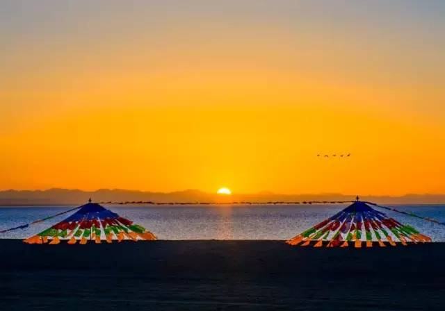 西双版纳旅游攻略艺龙_西双版纳旅游度假酒店_西双版纳超文艺小众旅游攻略