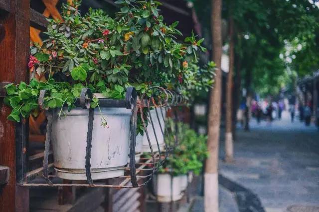 西双版纳旅游攻略艺龙_西双版纳超文艺小众旅游攻略_西双版纳旅游度假酒店