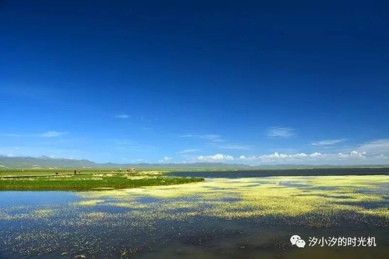 西双版纳旅游攻略艺龙_西双版纳旅游度假酒店_西双版纳超文艺小众旅游攻略